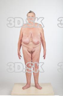 Body texture of Shelia 0012